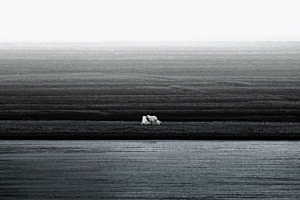 Arctic Symphony - Monochromatic Majesty
