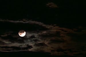 Augustvollmond