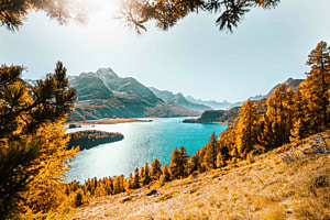 Autumn Lake