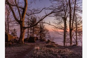 Wintermorgen auf dem Uetliberg Wintermorgen auf dem Uetliberg