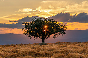 Magischer Sonnenuntergang Magischer Sonnenuntergang