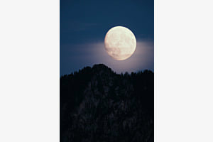 Der Mond im Stockental