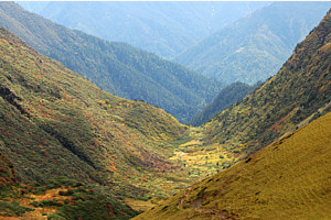 Herbstfarben eines glazialen U-Tals in Bhutan