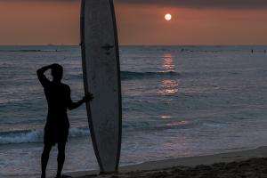 Surfing in Paradise Surfing in Paradise