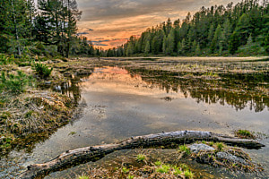 Am Moor