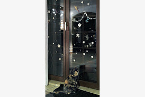 Büsi in Weihnachtsstimmung