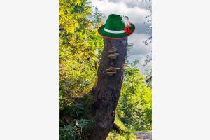 Baum-Mann Baum-Mann