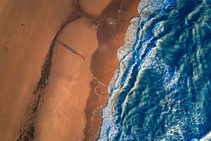 Seagulls view