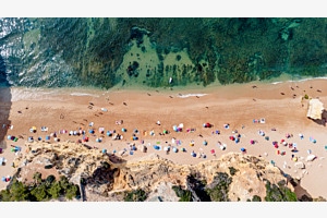 Bird's View
