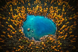 Birdseye View