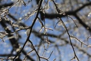 Frisch verschneit