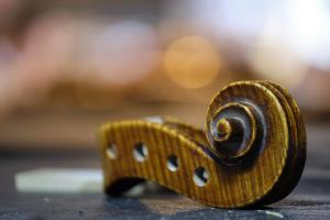 Violinschnecke