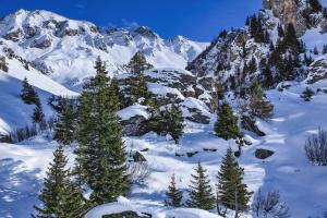 Winter Scenery near Meiringen