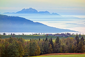 Foggy Landscape in Switzerland