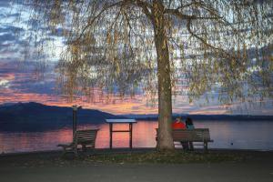 romantische Abendstimmung am Zugersee romantische Abendstimmung am Zugersee