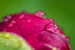Nach dem Regen