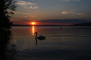 In der Stille der Nacht In der Stille der Nacht