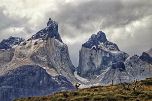 Torres del Paine 