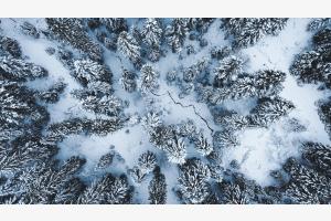 Winterwunderland Winterwunderland