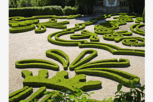 Ornamente mit Buchs