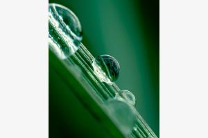 surface tension