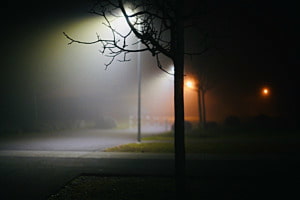 Cold foggy days Cold foggy days