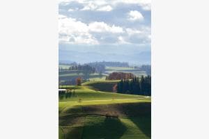 Emmental