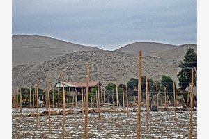 Gebirge in der Atacama-Wüste mit Geolyphen