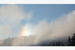 Saanen BE