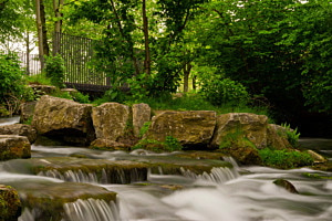 Idylle in der Stadt