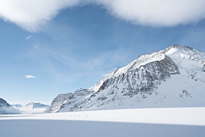 Skitourengänger auf dem Konkordiaplatz