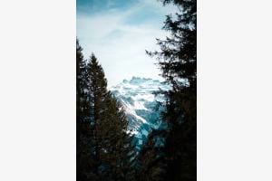 Alpine Landscape of Braunwald Alpine Landscape of Braunwald