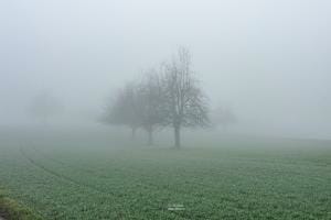 Stille Stille