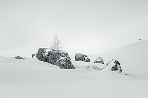 Winterruhe Winterruhe