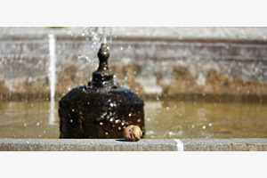 Fontaine