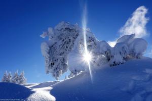 Wintersonne