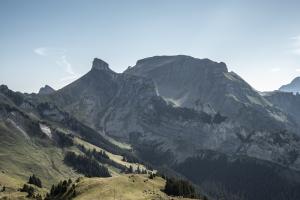 Schynige Platte