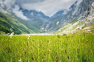 Berge (GR)