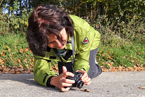 Die Fotografin und der Käfer