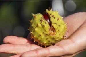 Wilkommen im Herbst