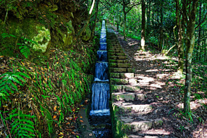 Wassertreppe (Levada) - Madeira (P)
