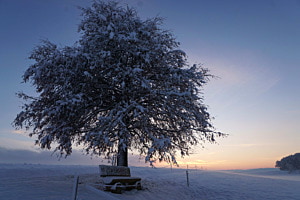 Winterliche Abendstimmung