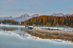 Goldener Herbst (freies Thema)