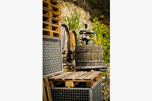 Weinpresse Weinpresse