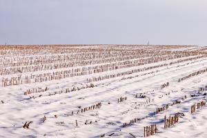 Winterruhe Winterruhe