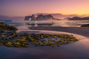 Wharariki Beach at sunrise