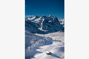 Winterwunderland