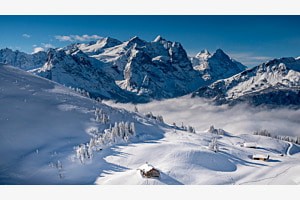 Winterwunderland Winterwunderland