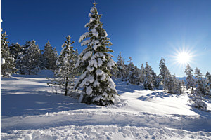 Weihnachtliche Landschaft