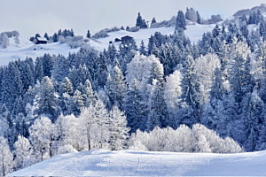 Die Farbe weiss Die Farbe weiss